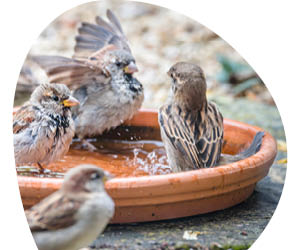 2025 12 VISUELS ARTICLE 3 2