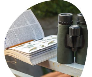 2025 12 VISUELS ARTICLE 3 3