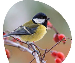 2025 12 VISUELS ARTICLE 3 4