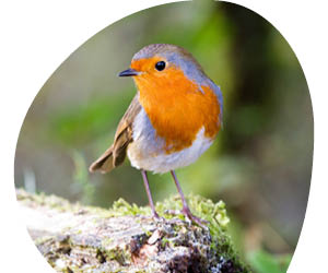 2025 12 VISUELS ARTICLE 3 5