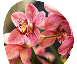 2026 01 VISUELS ARTICLE 2 2