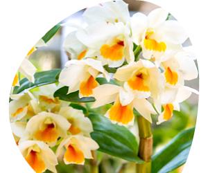 2026 01 VISUELS ARTICLE 2 3