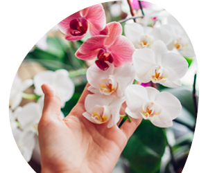 2026 01 VISUELS ARTICLE 2 5