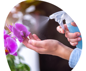 2026 01 VISUELS ARTICLE 2 6