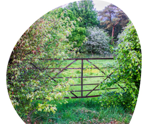 2026 01 VISUELS ARTICLE 3