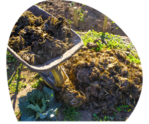 2026 01 VISUELS ARTICLE 3 2