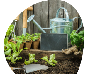 2026 01 VISUELS ARTICLE 3 3