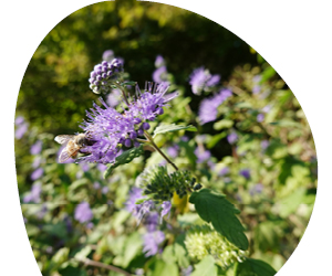 2026 01 VISUELS ARTICLE 3 4