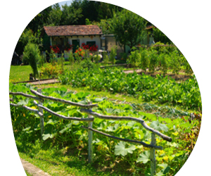 2026 01 VISUELS ARTICLE 3 6