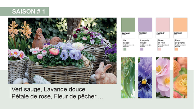 2026 02 VISUELS ARTICLE 1