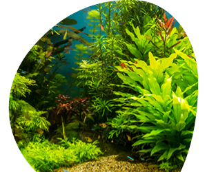 2026 02 VISUELS ARTICLE 1