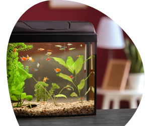 2026 02 VISUELS ARTICLE 2 3