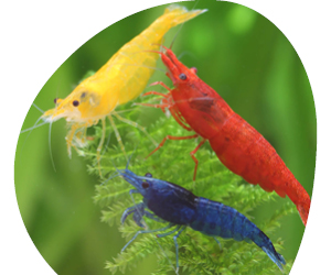 2026 02 VISUELS ARTICLE 12