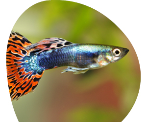 2026 02 VISUELS ARTICLE 2 4