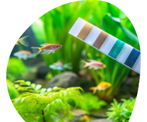 2026 02 VISUELS ARTICLE 2 5