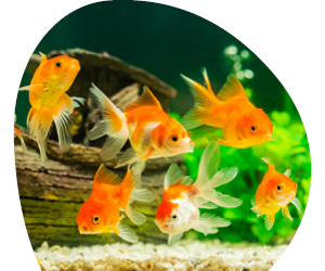 2026 02 VISUELS ARTICLE 2 6