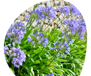 2026 02 VISUELS ARTICLE 1