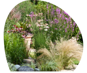 2026 02 VISUELS ARTICLE 2 3