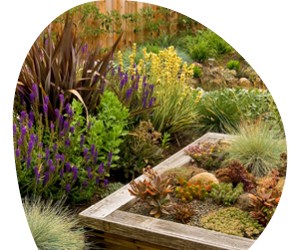 2026 02 VISUELS ARTICLE 2 4