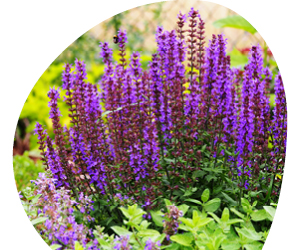 2026 02 VISUELS ARTICLE 2 5