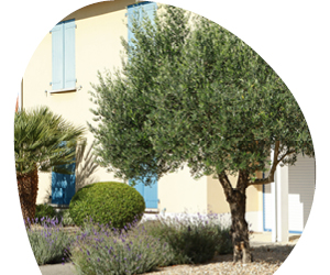 2026 02 VISUELS ARTICLE 2 6