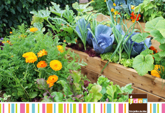 Potager esthétique : quand légumes et fleurs deviennent déco 