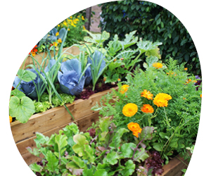 2026 02 VISUELS ARTICLE 1