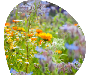 2026 02 VISUELS ARTICLE 2 3