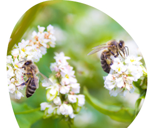 2026 02 VISUELS ARTICLE 12