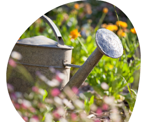 2026 02 VISUELS ARTICLE 2 5