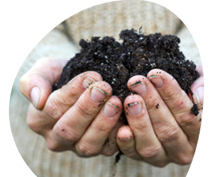 2026 02 VISUELS ARTICLE 1