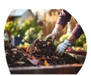 2026 02 VISUELS ARTICLE 2 3