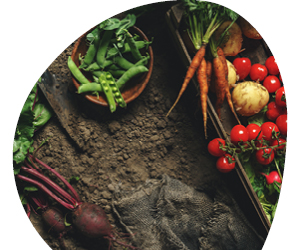 2026 02 VISUELS ARTICLE 12