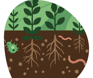 2026 02 VISUELS ARTICLE 2 4