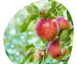 2026 02 VISUELS ARTICLE 1