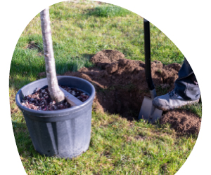 2026 02 VISUELS ARTICLE 2 4