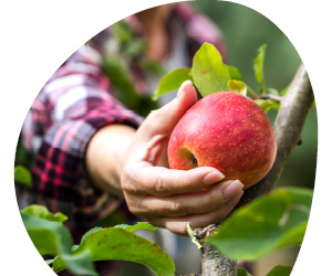 2026 02 VISUELS ARTICLE 2 5