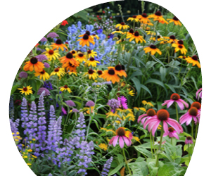 2026 02 VISUELS ARTICLE 1