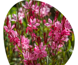 2026 02 VISUELS ARTICLE 2 3