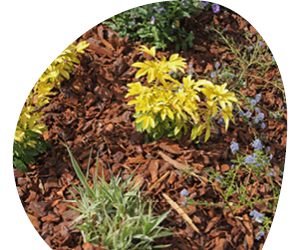 2026 02 VISUELS ARTICLE 12