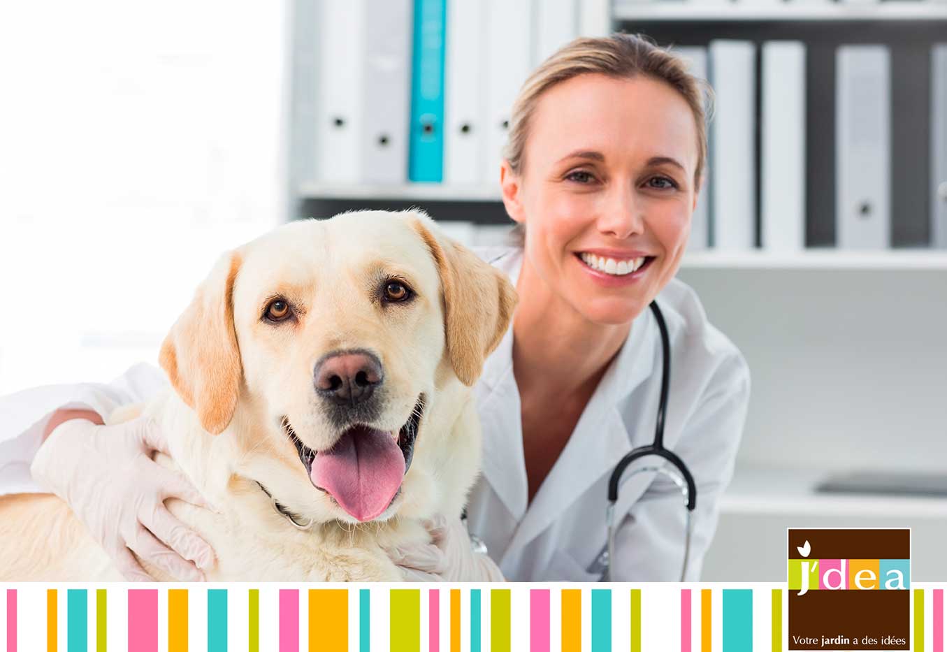 jdea consultez votre veterinaire