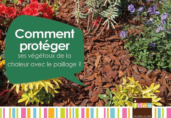 Paillage Jardin et Potager : Comment le faire ?