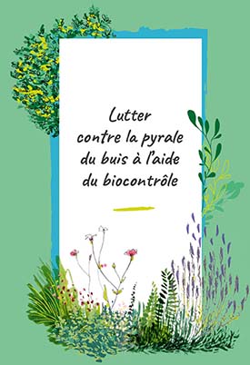 Guide : Lutter contre la pyrale du buis à l'aide du Biocontrôle