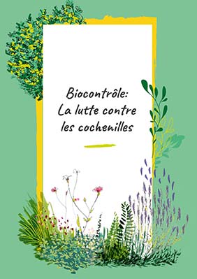 Guide : Biocontrôle la lutte contre les cochenilles