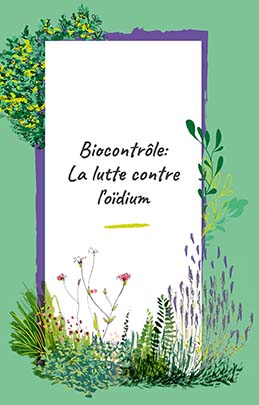 Guide : Biocontrôle la lutte contre l'oidium