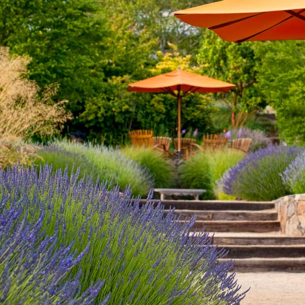 click & collect décoration jardin extérieur - Jardins de Beaune
