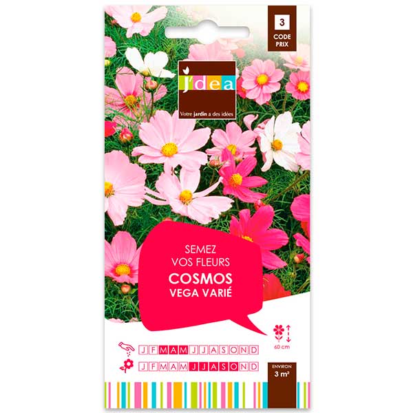 Cosmos vega varié : variété naine, fleurs abondantes - JARDIN DECOR