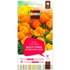 grainesfleurs/3052350756592-OEILLET-D'INDE-DOUBLE-NAIN-VARIE-S2-JDEA