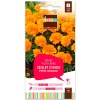 grainesfleurs/3052350756608-OEILLET-D'INDE-PETITE-ORANGE-S2-JDEA