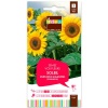 grainesfleurs/3052350756653-SOLEIL-UNIFLORUS-GIGANTEUS-TOURNESOL-VARIE-S2-JDEA